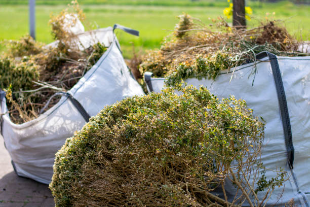 Best Moving and Downsizing Cleanouts  in Randallstown, MD
